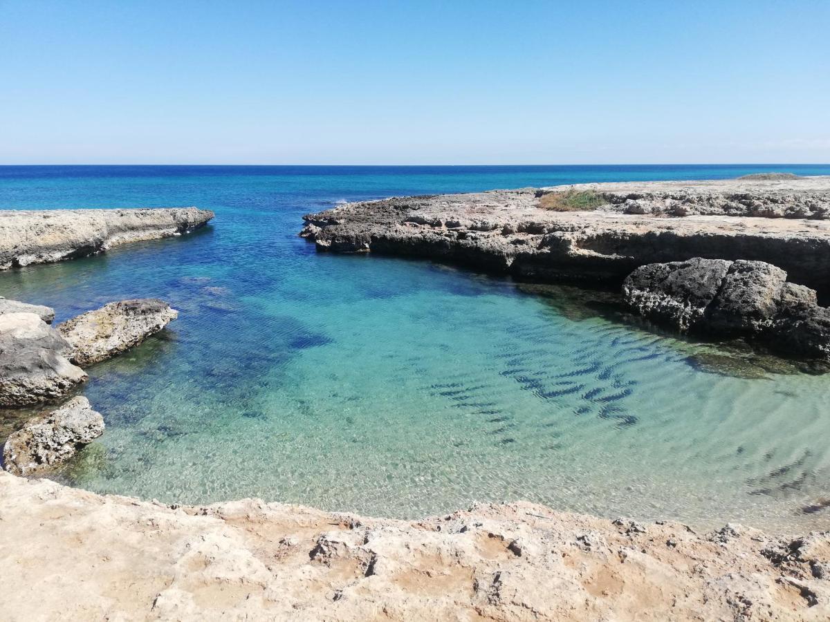 Appartamento Fico Puglia サン・ヴィート・デイ・ノルマンニ エクステリア 写真